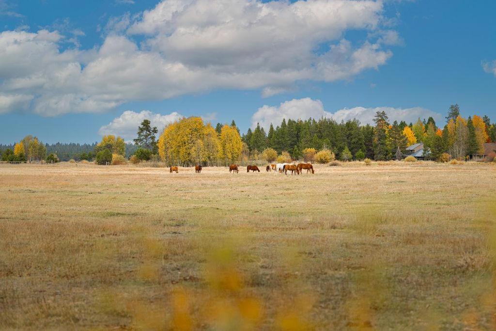 Вилла Coyote - Unit 9 Санривер Экстерьер фото